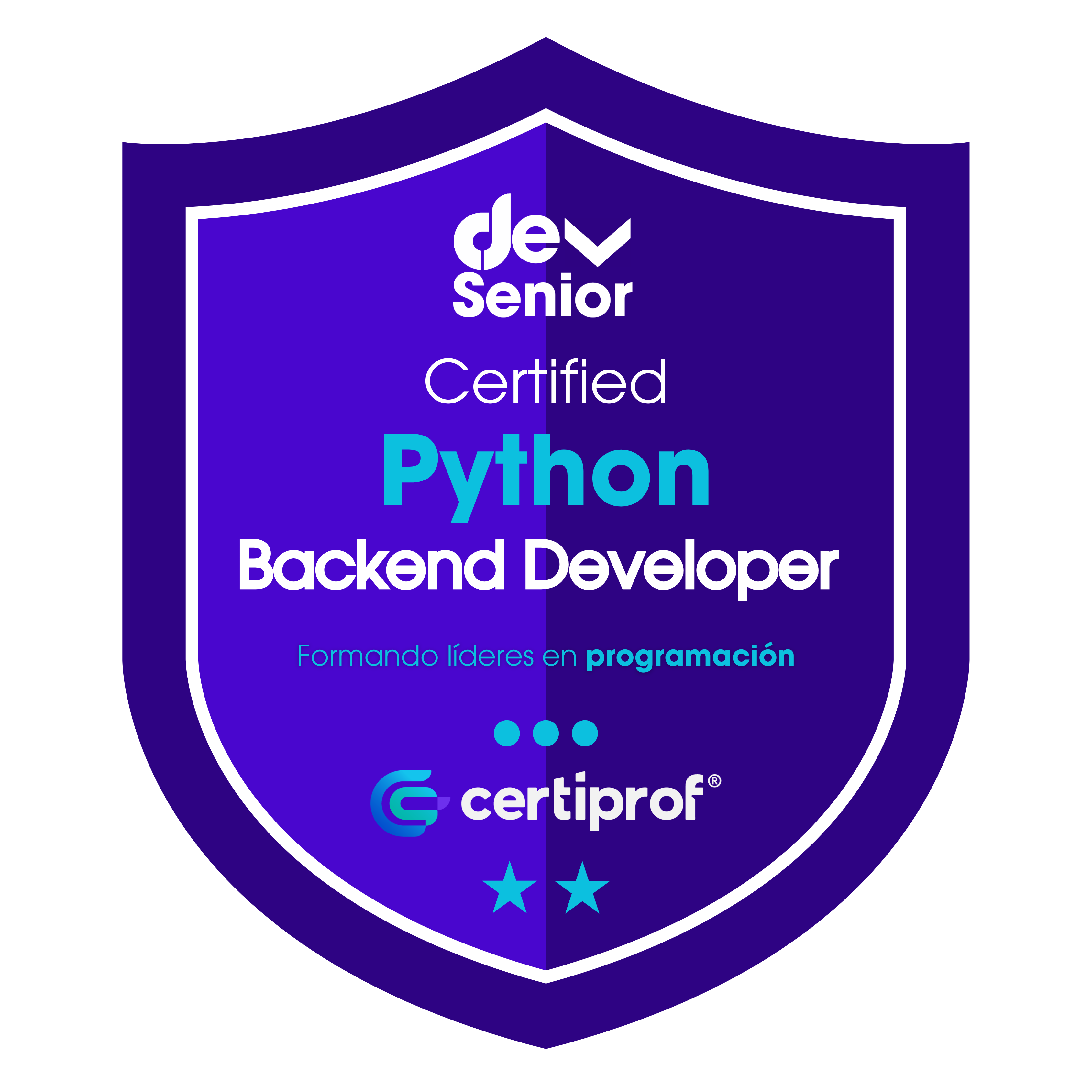 Insignia Python Backend Developer